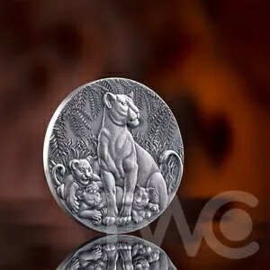 �O���[�X �I�u ���C�I�l�X �T�[�N�� �I�u ���C�t 2 �I���X �V���o�[ �R�C�� CFA �J�����[�� 2024