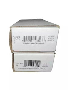 American Innovation $100 h RC obO Zbg - Ao} T^[ V 2024 - P&D ~g