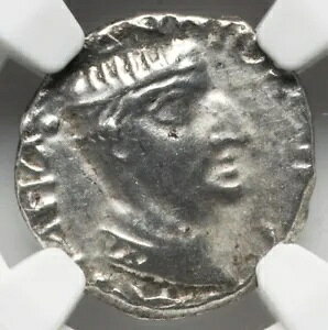 NGC XF �i�n�p�i �C���h-�X�L�^�C�l ���T�g���b�v �Ñ�C���h 1 ���I AD �R�C��