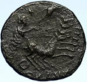 RX^eBkX 1 ԃSbhnhECEwÑネ[}RC i101030