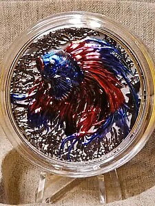 2024 �j�E�G��\��: Betta Fish 2 �I���X �V���o�[ �n�C�����[�t