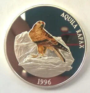 S 1996 Aquila Rapax 5000 gDON 5 IX݁Av[t