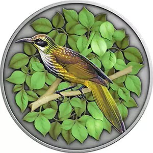 LIGAEo[huœvV[Y 1IX - 2021NjEGs