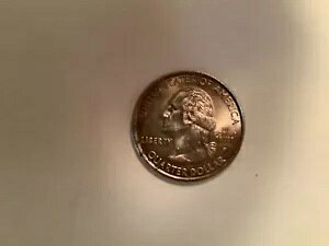 ̃XgCNG[ 1999 FtfEFABNH[^[  ɒ