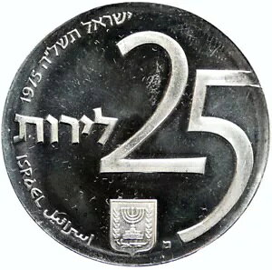 1975 CXG 25 NLOvO X^[ Iu _rf v[t Vo[ 25L RC i96786