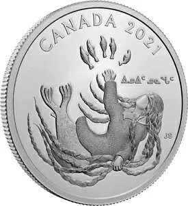 CkCbg kiKbguWFl[VYvV[Y - 2021NJi_s