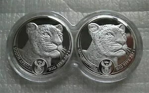 AtJ R5 2023 Vo[ v[t 1IX 2 RC Zbg Big5 V[Y II Ip[h