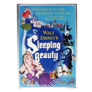 2024 j[W[h 5 IX Vo[ X̔|X^[ RCAOGP & COA