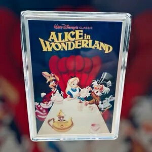 2024 fBYj[ svc̍̃AX RNeBu |X^[ - 5IX Vo[ v[t RC