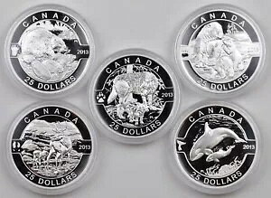 2013NuO Canadav99.99%5RC~gv[tZbgAؐ`FXg