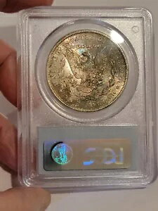 ?? 1884-CC PCGS MS64 ���[�K�� �V���o�[ �_���[ - �������ڂ𖣗͓I�ȃ����X�^�[���F