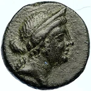 tMÃIfBPCA IO 158 N {̌ÑÂMṼRC APHRODITE i102722