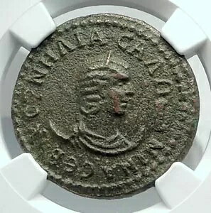 �T���j�[�i �K���G�k�X�̍� �T�C�h �p���t�B���A �Ñネ�[�} �R�C�� �A�|�� NGC i78447