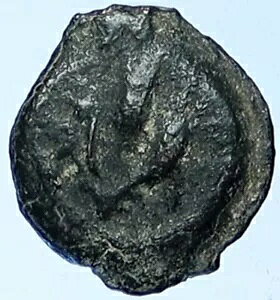 MATTATAYAH }^eBAX AeBISmX  GT RC }eB`t w 1164 i109518