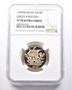 1979 FM ベリーズ 100 ドル ゴールド クイーン エンゼルフィッシュ PF70 UCAM NGC *5368