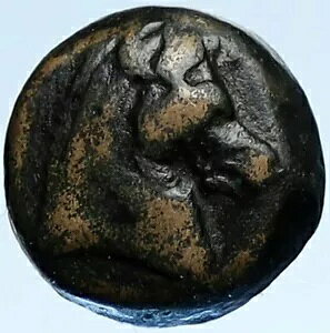 ZERX I jJg[ 300BC {̃ZERX̌ÂMṼRC z[XAJ[ i107443