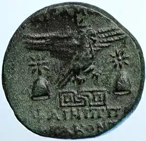 APAMEIA PHRYGIA �A�e�i �W�F�~�j �L���b�v DIOSCURI �C�[�O���Ñ�Â��M���V���̃R�C�� i110208