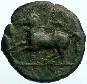 KAINON Alaisa V`A 367BC {̌ÑÂMVRC OtBz[X i99522