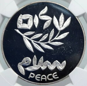 1980 CXGa GWvg V[ I[h v[t Vo[ 200 [g RC NGC i88005