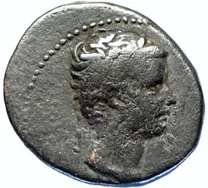 ApCÃeBxEX ZELX sGA Ñ I[h AeB[N [} RC TYCHE i97499