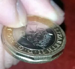 2016 ɂ܂Ȍ 1 |hd݂̒[ 1 |hAʂ 1 |h܂