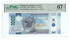 2022 tBs 1000 s\ |}[ XyV vtBbNX BSP 001645 tH_[ PMG 67 EPQ