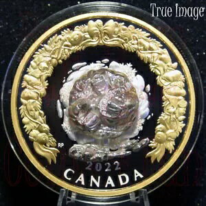 [LC] 2022 zf[ Xv_[ [rO T^ giJC $50 Vo[ NX}X RC