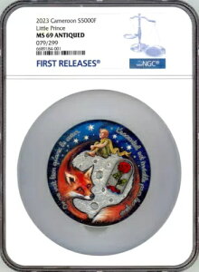 2023 J[ ̉q 5IX AeB[Ndグ Vo[ RC 5000 t CFA 69 FR