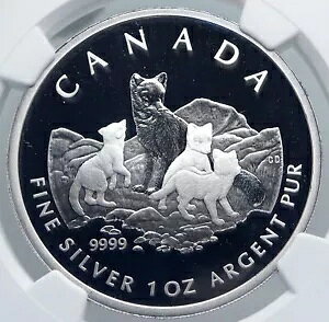 2004 Ji_ CMX NC[ GUxX 2  ARCTIC FOX I[h Vo[ v[t $5 RC NGC i89239