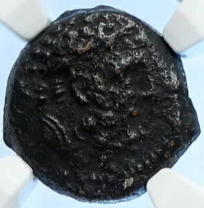 アンティオコス 9 世 キジケノス 古代古いセレウキッド ギリシャ コイン ヘラクレス NGC i106674