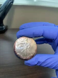 2003 1IX㎿ȋ - 1 h RCBC{[g[̃i`