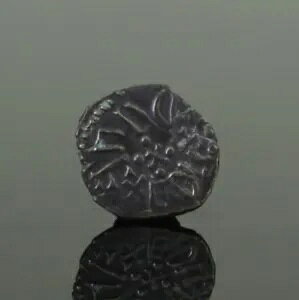 �A���O���T�N�\�� AR SCEAT �R�C�� - �m�[�T���r�A �X�s���N 854