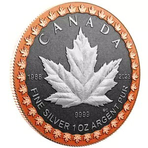 ???? Ji_ 5 h݁A[YS[hbL [v [t̒ 2023