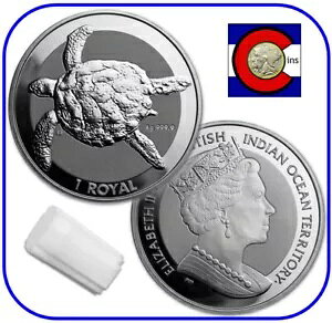 2020 p̃Chm̓y BIOT E~K 1 IX Vo[ - 20 RC `[u