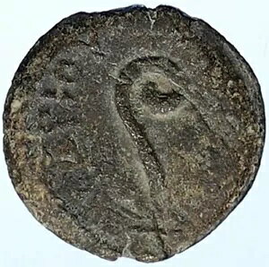 |eBEX sg eBxEX GT CGX LXg̍ٔ _ [} RC i106844