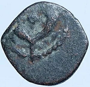 ���_ �A���X�g�u���X 1 �� ���_���l 104BC �G���T�������S�l�}�C�g �w���f�B�� 1142 �R�C�� i114063