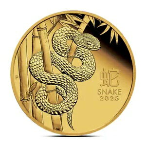 2025 1/4 IX p[XN (v[t)