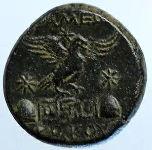 APAMEIA PHRYGIA �A�e�i �W�F�~�j �L���b�v DIOSCURI �C�[�O���Ñ�Â��M���V���̃R�C�� i110220