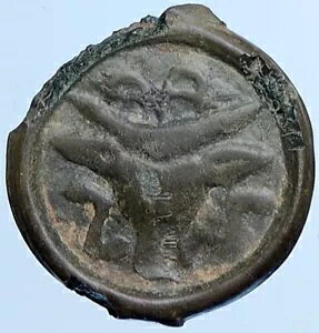 Pg SlX KE MṼN}̂悤Ȗ{̌ÂÑRC i113805