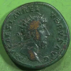 [}鍑̐f|fBEX RC VEX FX GALLEY @GG32