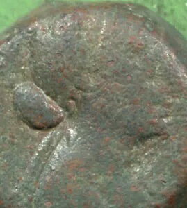 [}B 40 hN}C AE21 NIpg 7 C[O̓