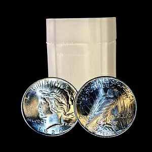 Peace Silver Dollar - Gem BU - 20 ̃RC̃[ - ɖ