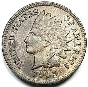 1909-S CfBA wbh Zg yj[ AU+ t oeBAfGȉHtAsF̃RC
