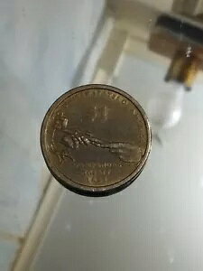 SACAGAWEA 1621 �����p�m�A�O��� USA �h���R�C�� - ���Ɋ�