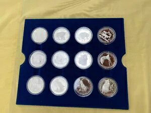 1991 NbNE̖쐶Ŋ뜜Vo[ v[t ZbgARC 24 