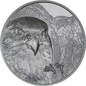 FALCON ���C���h �����S�� 2 �I���X �V���o�[ �R�C�� 1000 �g�O���b�O �����S�� 2023