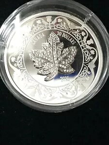 2020 sA Vo[ 99.99 [v [t u[` KV[ $30 RC RC-172026