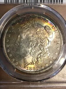 1880-S ���[�K�� �V���o�[ �_���[ PCGS MS62 $1 �u���[ �O���[�� �p�[�v�� ���C���{�[ �����X�^�[ �g�[��