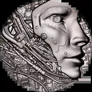 2024 J[ AI Ŗ̌ 2 IX Vo[ AeB[N RC