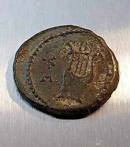 �E���g�����A ���_�� �o�[ �R�z�o�����R�C���AAE20�A���� 134 �` 135 �N ? ���V�̗t�ƃ���